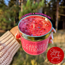 Stagey Scents - I Carried A Watermelon Candle